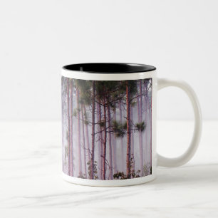 Nevel tussen pijnbomen bij zonsopgang, Everglades Tweekleurige Koffiemok