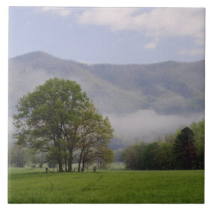 Nevelig weiland en Rich Mountain, Cades Cove, Tegeltje