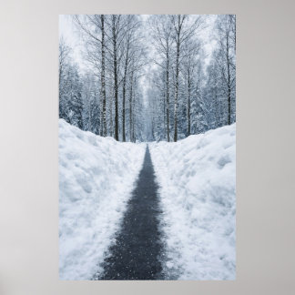 Nevelig winter bos pad Winter Landschap Poster