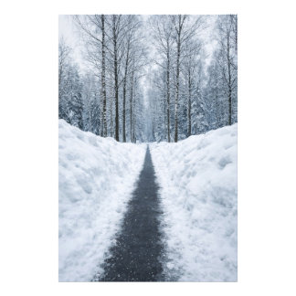 Nevelig winterse bospad Winterlandschap Poster