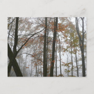 Nevelige herfst in Pennsylvania herfst natuur Briefkaart