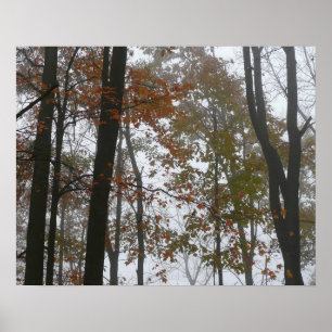 Nevelige herfst in Pennsylvania herfst natuur Poster