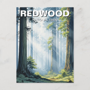 Nevelige ochtend in Redwood National Park Briefkaart