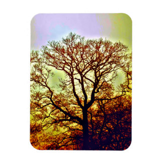 NEVELIGE ZONNEBOMEN MAGNEET