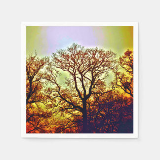 NEVELIGE ZONNEBOMEN SERVET
