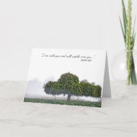 nevelsympathie voor een enkele groene boom