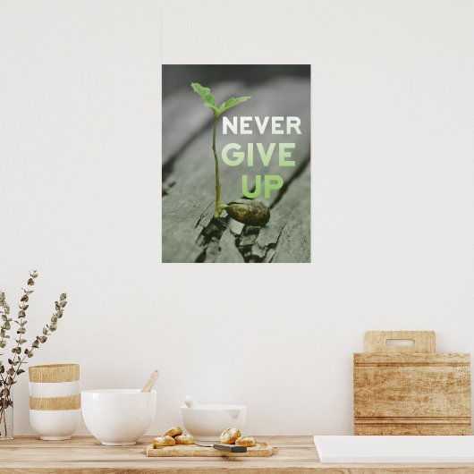 Never Give up Poster (Cuisine)