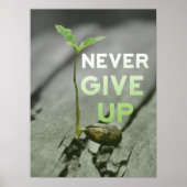 Never Give up Poster (Devant)