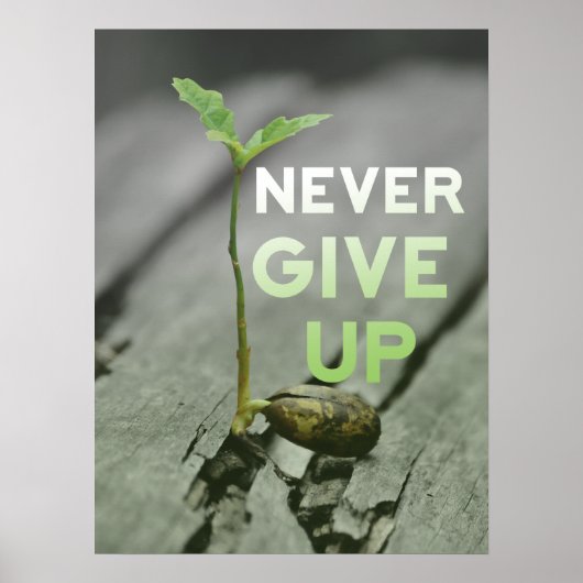 Never Give up Poster (Devant)