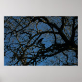 Nevermore Poster (Voorkant)