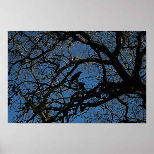 Nevermore Poster (Voorkant)