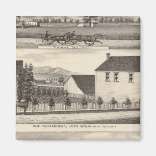 Nevis, groene woningen, boerderijen magneet