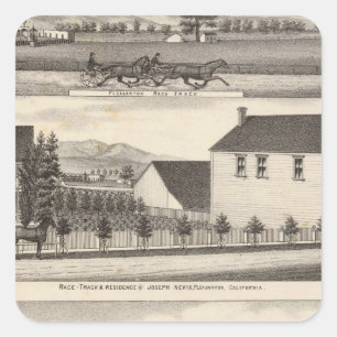 Nevis, groene woningen, boerderijen vierkante sticker