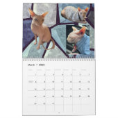 New 2026 Calendar Kalender (Mar 2026)