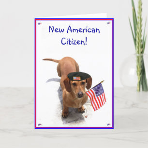 New American Citizen Dachshund wenskaart Kaart