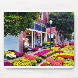 New Bern, North Carolina Muismat