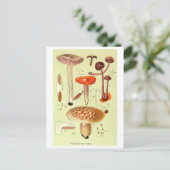 "New British Fungi" Paddestoel Briefkaart (Staand voorkant)