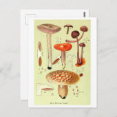 "New British Fungi" Paddestoel Briefkaart (Voorkant / Achterkant)