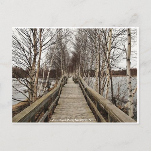 New Brunswick, Canada Briefkaart (Voorkant)