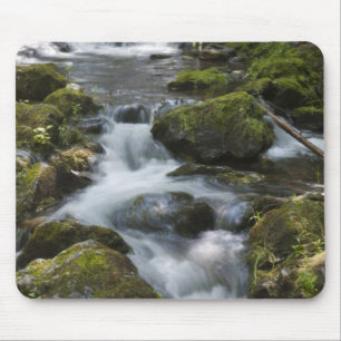New Brunswick, Canada. Dickson Falls in Fundy Muismat