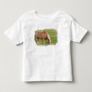 New Brunswick, Canada. Paarden in het veld. Kinder Shirts