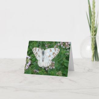 New Day Gardens Notecard - Geruit wit Kaart