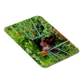 New Delhi, India Magneet (Rechterzijde)