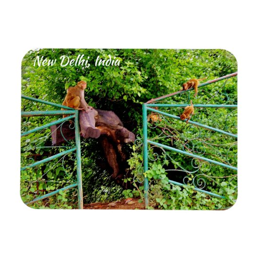 New Delhi, India Magneet (Horizontaal)