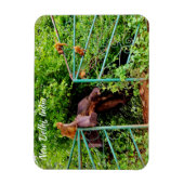 New Delhi, India Magneet (Verticaal)