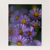 New England Asters Legpuzzel (Verticaal)