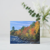 New England Colors Briefkaart (Staand voorkant)