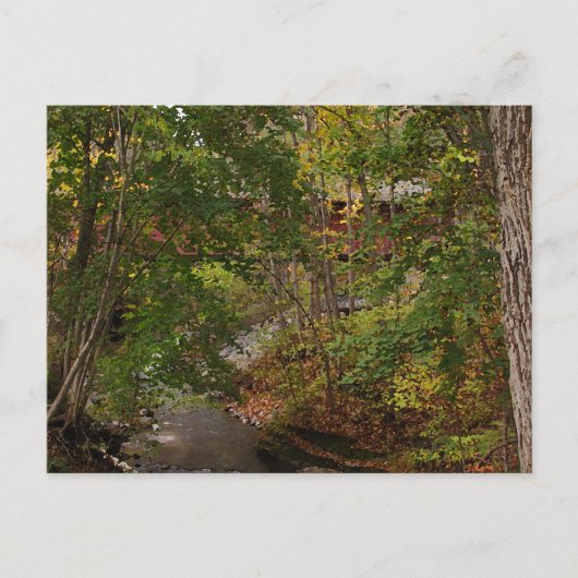 New England Covered Bridge Briefkaart (Voorkant)