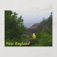 New England Dreamweaver Briefkaart