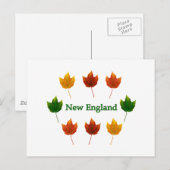 New England Fall Leaves Briefkaart (Voorkant / Achterkant)