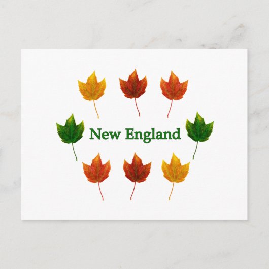 New England Fall Leaves Briefkaart (Voorkant)