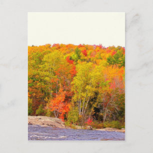 New England herfst 118 Briefkaart