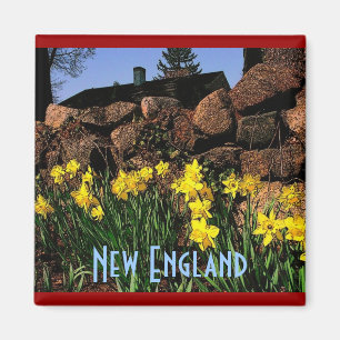 New England Magnet Magneet