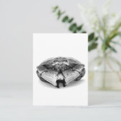 New England Rock Crab I Briefkaart (Staand voorkant)