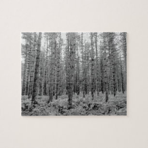New Forest, Hampshire Pine Tree Forest Legpuzzel