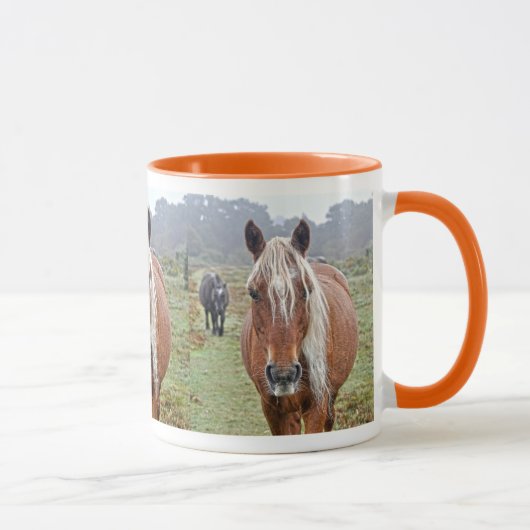 New Forest Ponies of Hampshire England Mok (Rechts)