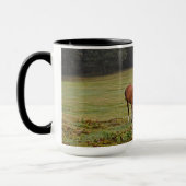 New Forest Ponies of Hampshire England Mok (Links)