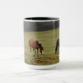 New Forest Ponies of Hampshire England Mok (Midden)