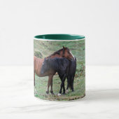 New Forest Ponies of Hampshire England Mok (Midden)