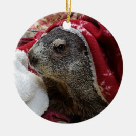 NEW! Groundhog Carrie Christmas Ornamant 2 Keramisch Ornament
