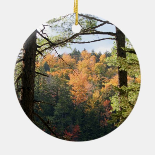 New Hampshire 7729 Ornament (Achterkant)