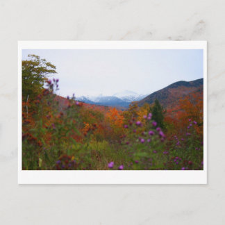 New Hampshire Briefkaart
