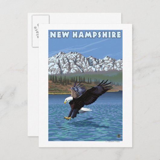 New Hampshire Eagle Vist Briefkaart (Voorkant / Achterkant)