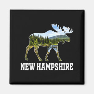 New Hampshire Eland Natuur Woud Natuur Scenisch Magneet