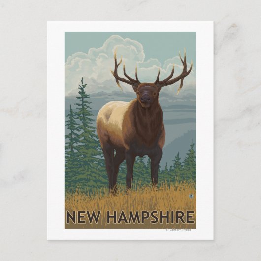 New Hampshire Elk Scene Briefkaart (Voorkant)