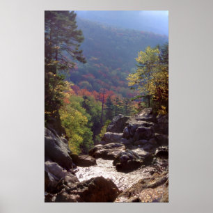 New Hampshire Fall Colors Poster